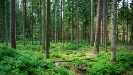 1. GIRONA ENERO New Year Reset Retreat – Alt Empordà, Girona