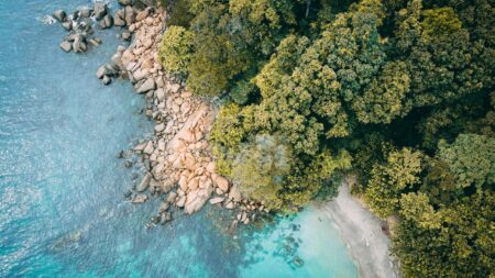 Naturaleza exclusiva 