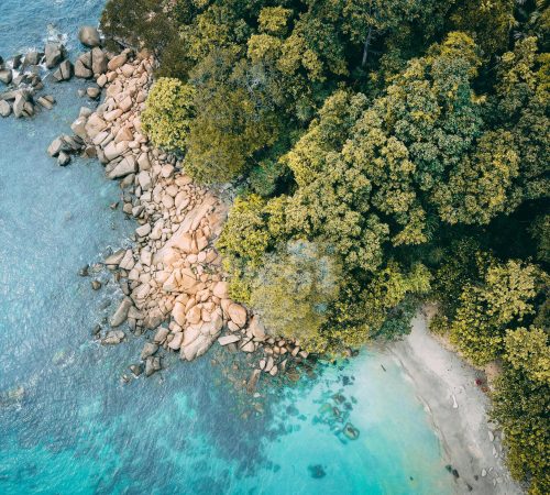 2. NATURALEZA EXCLUSIVA Naturaleza exclusiva